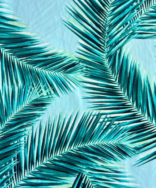 Teal Palm